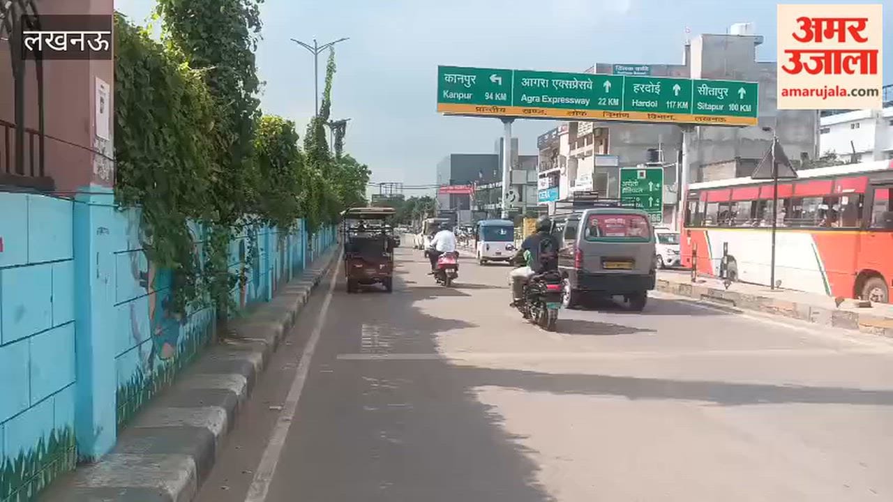 लखनऊ में बिजली के खंभों में चढ़ीं पेड़ों की बेल, शाम होते ही वीआईपी रोड पर छा जाता अंधेरा