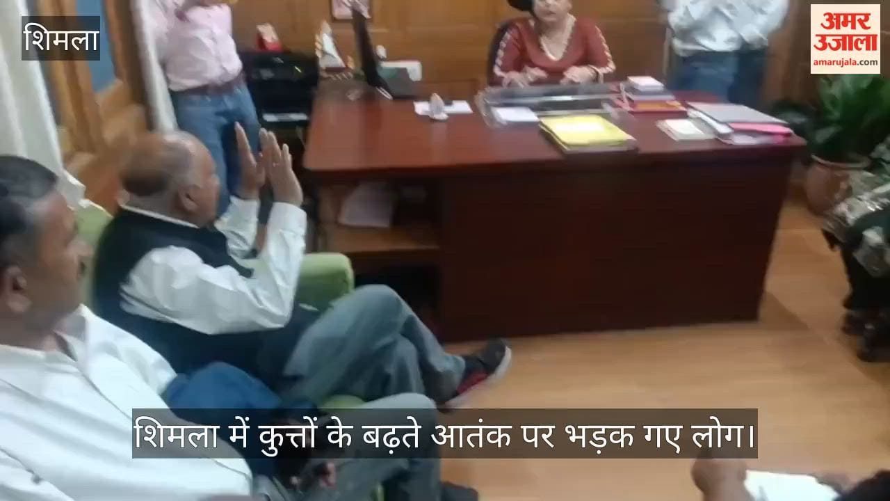 People outraged over the growing menace of dogs in Shimla; gherao the Municipal Corporation office.