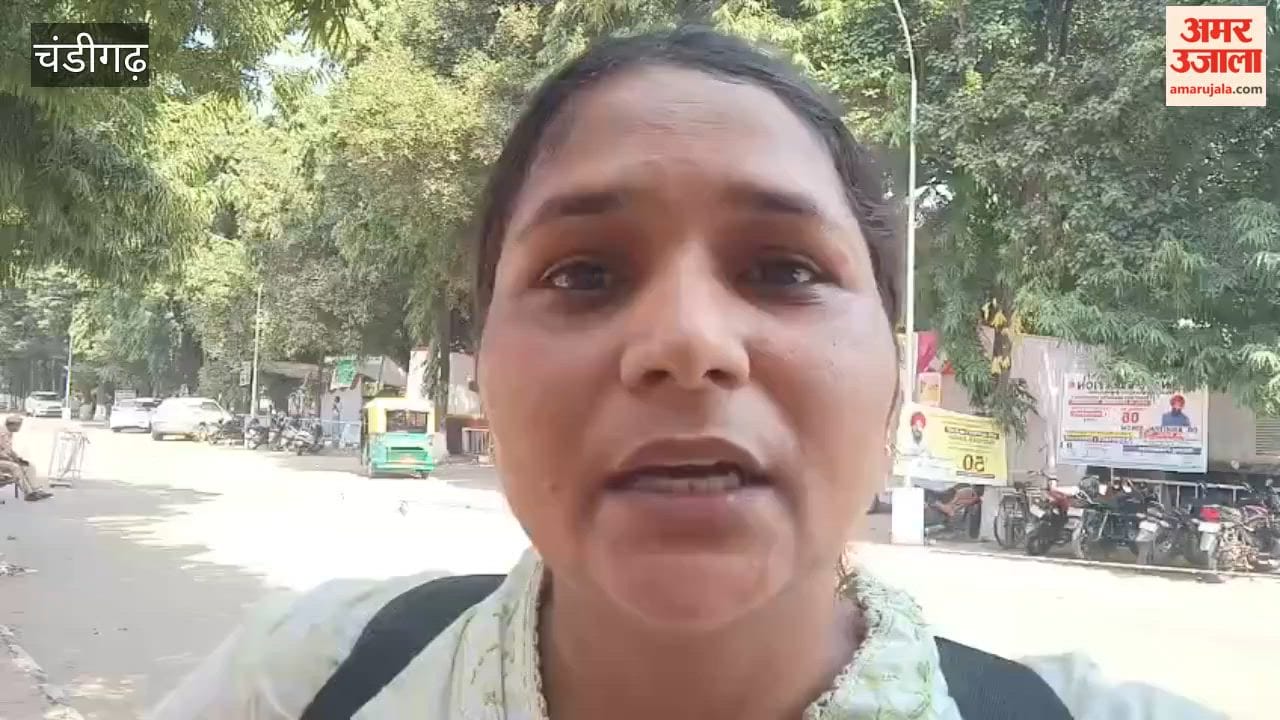 Voting for the Senate elections at Panjab University has begun.