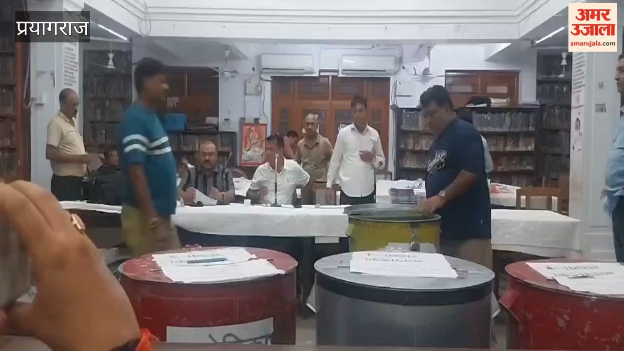 Sorting of ballot papers for the Allahabad High Court Bar Association election is in full swing.