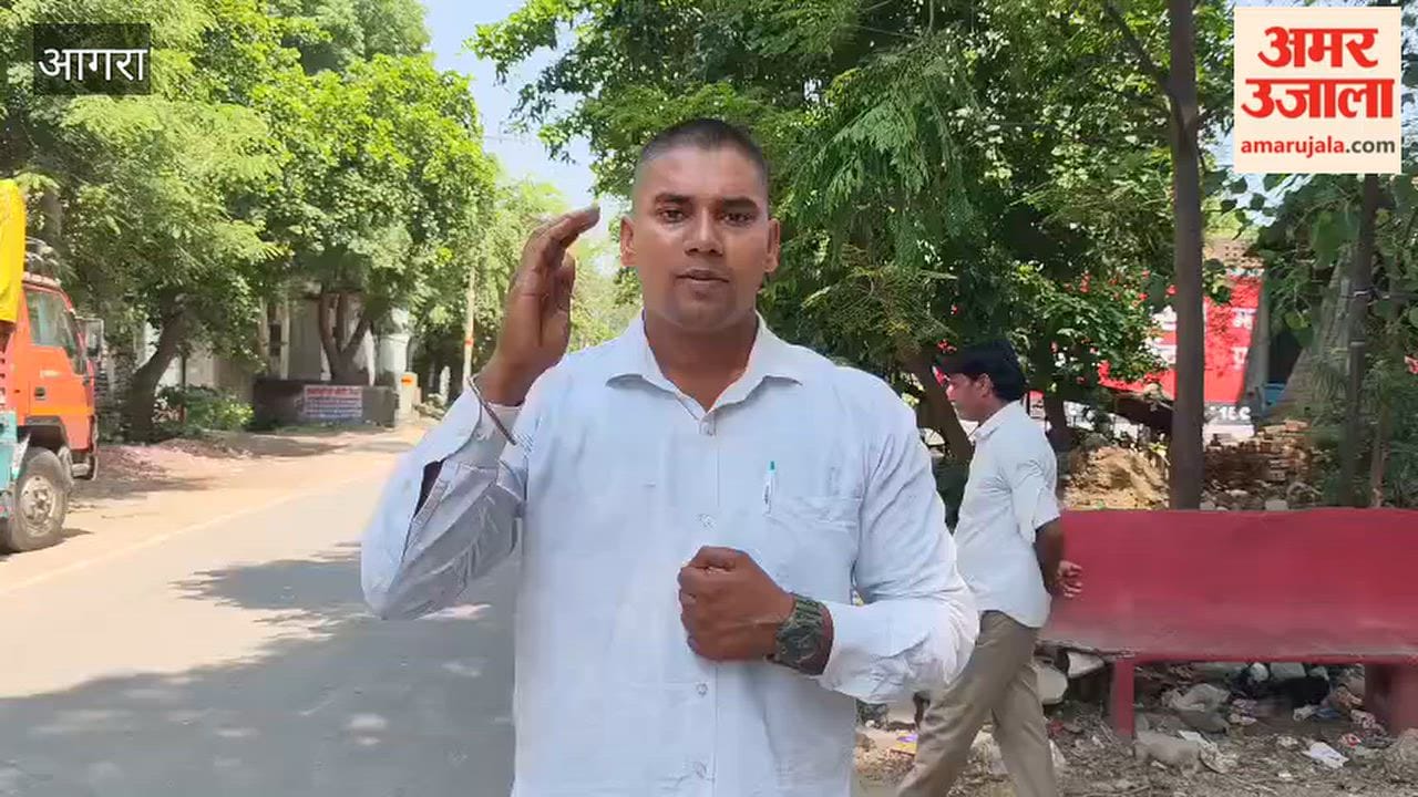 Thief reached roof using tree broke through mesh and committed theft in showroom