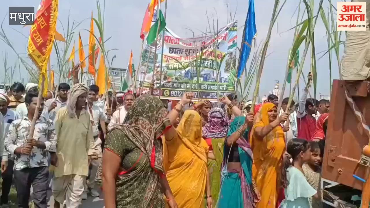 Villagers arrive at protest site holding sugarcane demanding reopening of Chhata Sugar Mill
