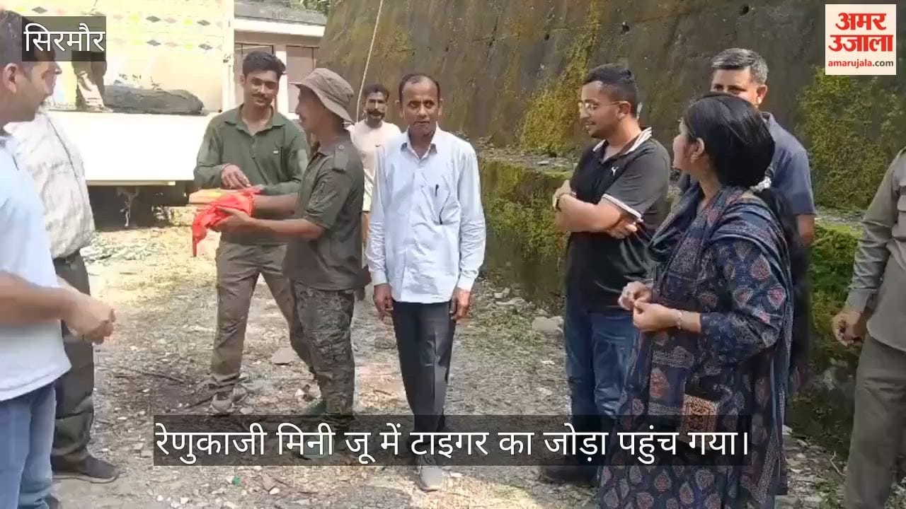 renukaji mini zoo first tiger pair himachal nagpur 1800 km 2026