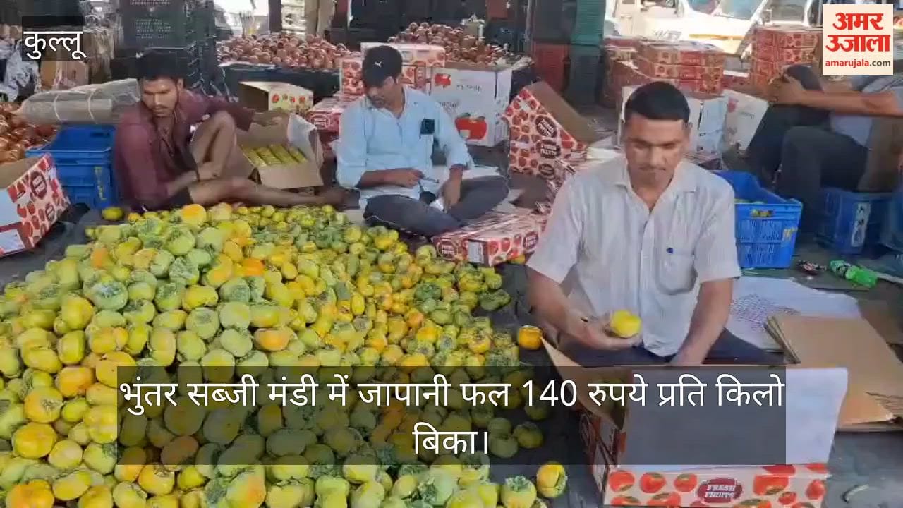 bhuntar mandi japanese persimmon fruit price 140 rupees per kg kullu