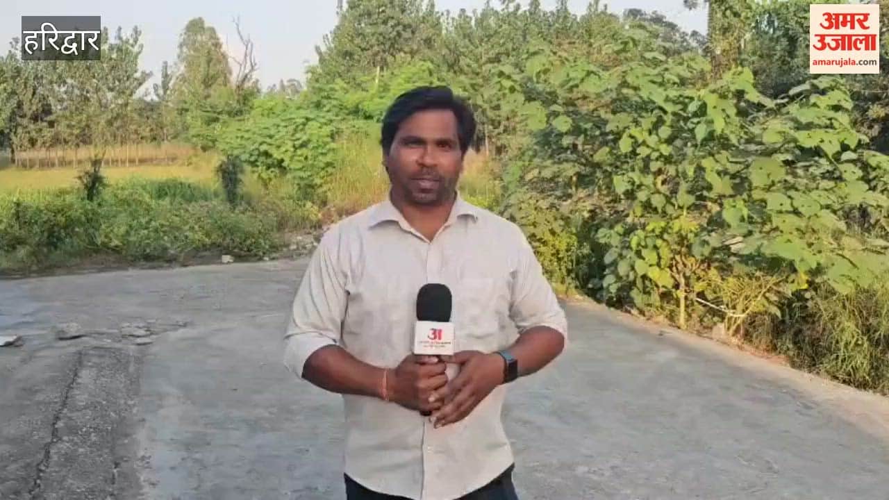 Haridwar: Four green mango trees cut down without permission in a mango orchard under the cover of darkness.