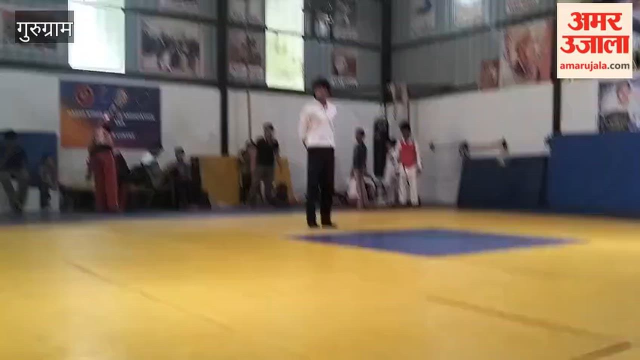 Players from the district won four medals at the Haryana State Jiu-Jitsu Championship.