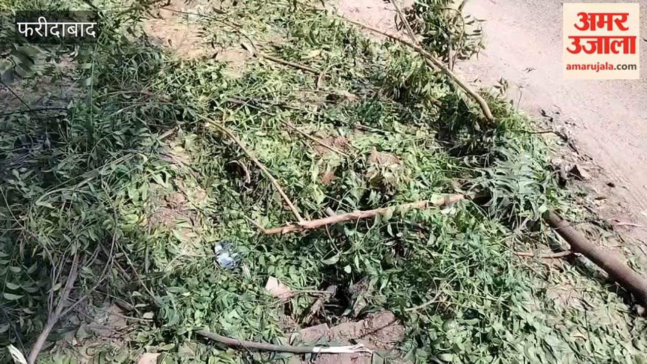 Faridabad Vehicle smashes into electric pole