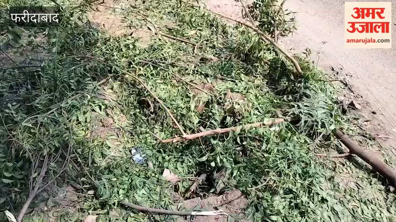 Faridabad Vehicle smashes into electric pole