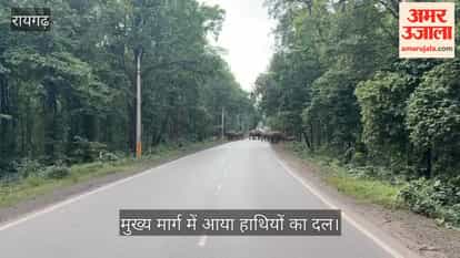 A herd of elephants remained on the main road in Raigarh for hours, causing long queues of vehicles to form on