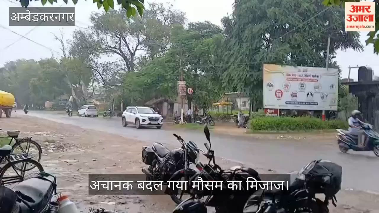 VIDEO: बारिश से राहत, तेज हवा से धान की फसल गिरी, अचानक बदल गया मौसम का मिजाज