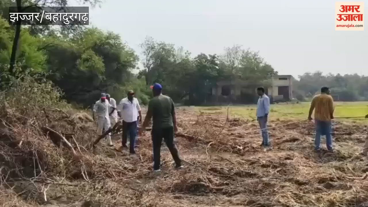 Volunteers performed voluntary service and spread the message of cleanliness at an NSS camp in Badli.