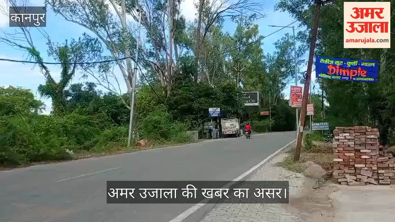 Kanpur KESCO secures fallen cable back onto pole on Bithoor Road