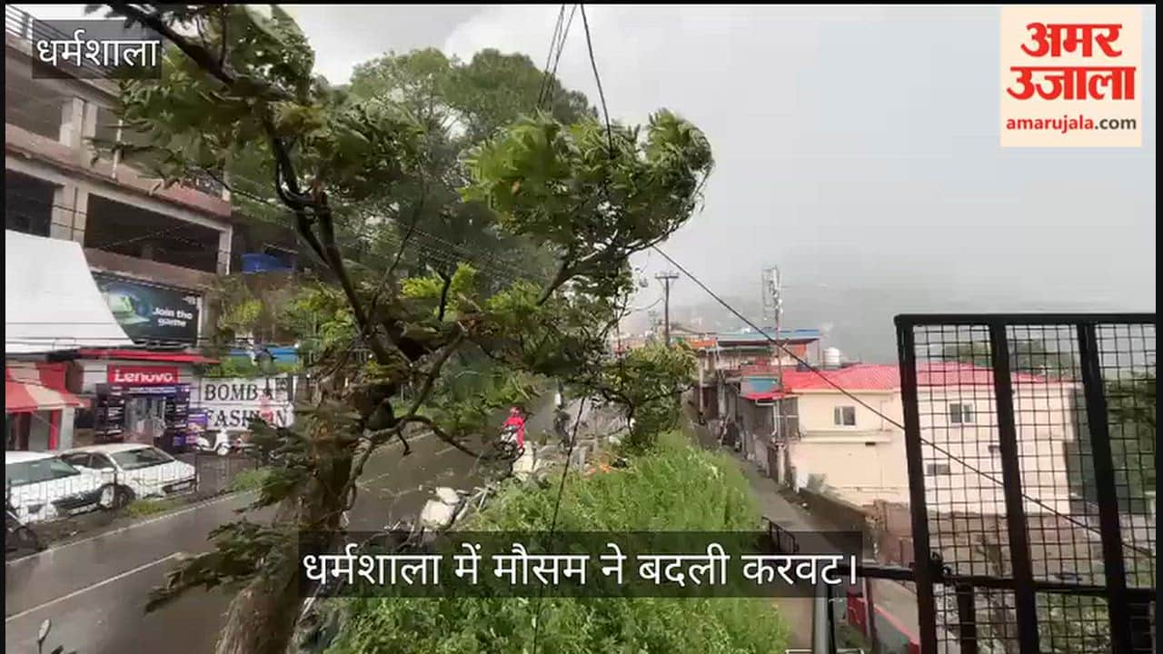 Weather takes a turn in Dharamshala; mercury drops amidst strong winds and heavy rain