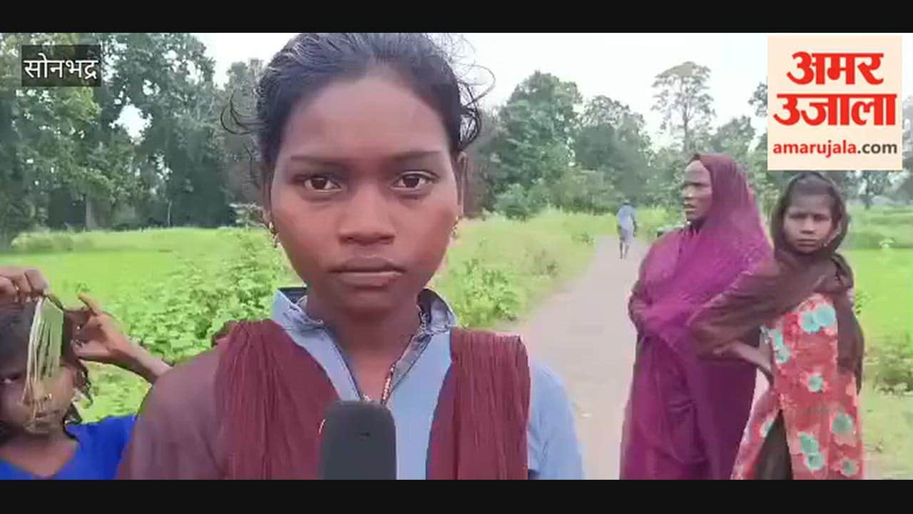 Three-foot-long cobra enters house Forest Department carries out rescue