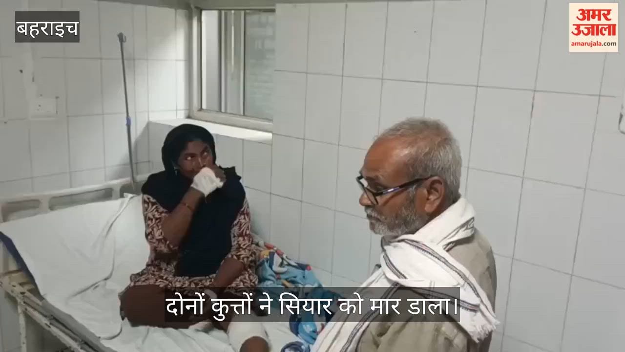 VIDEO: सियार ने महिला पर किया हमला, पालतू पिटबुल कुत्तों ने बचाई जान