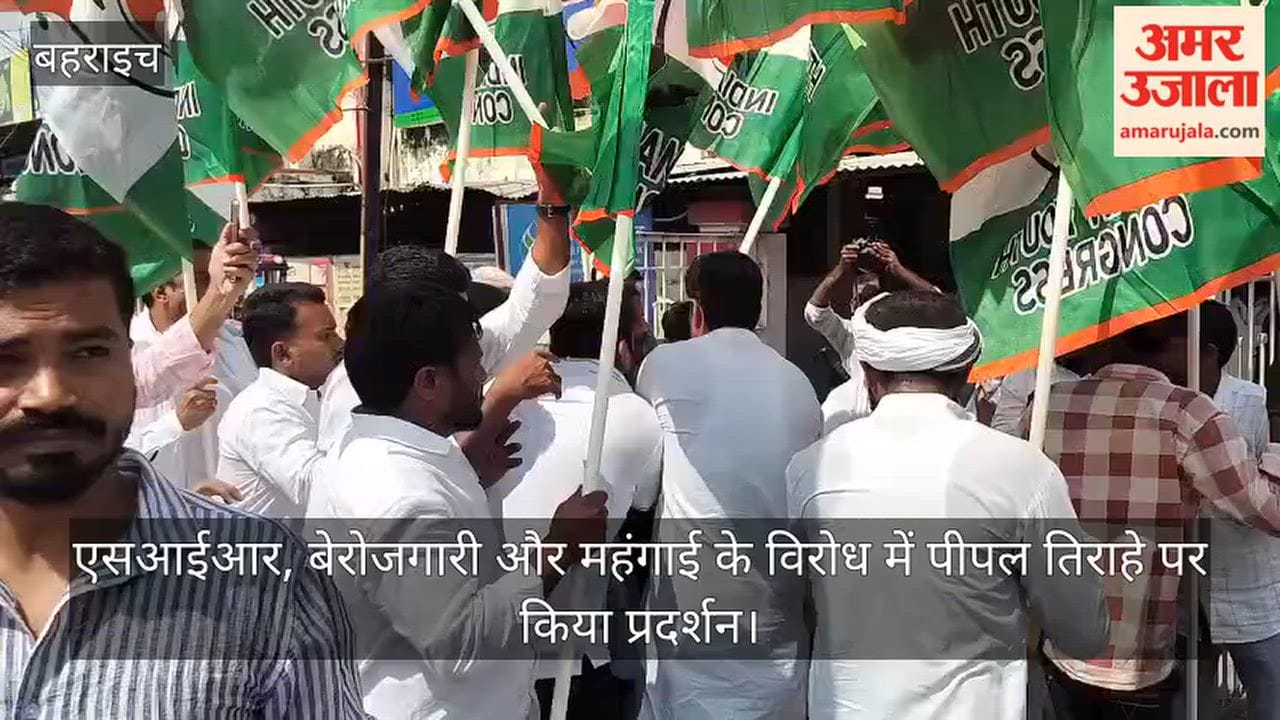 VIDEO: पुतला फूंकने को लेकर पुलिस और युवा कांग्रेस कार्यकर्ताओं में धक्का-मुक्की