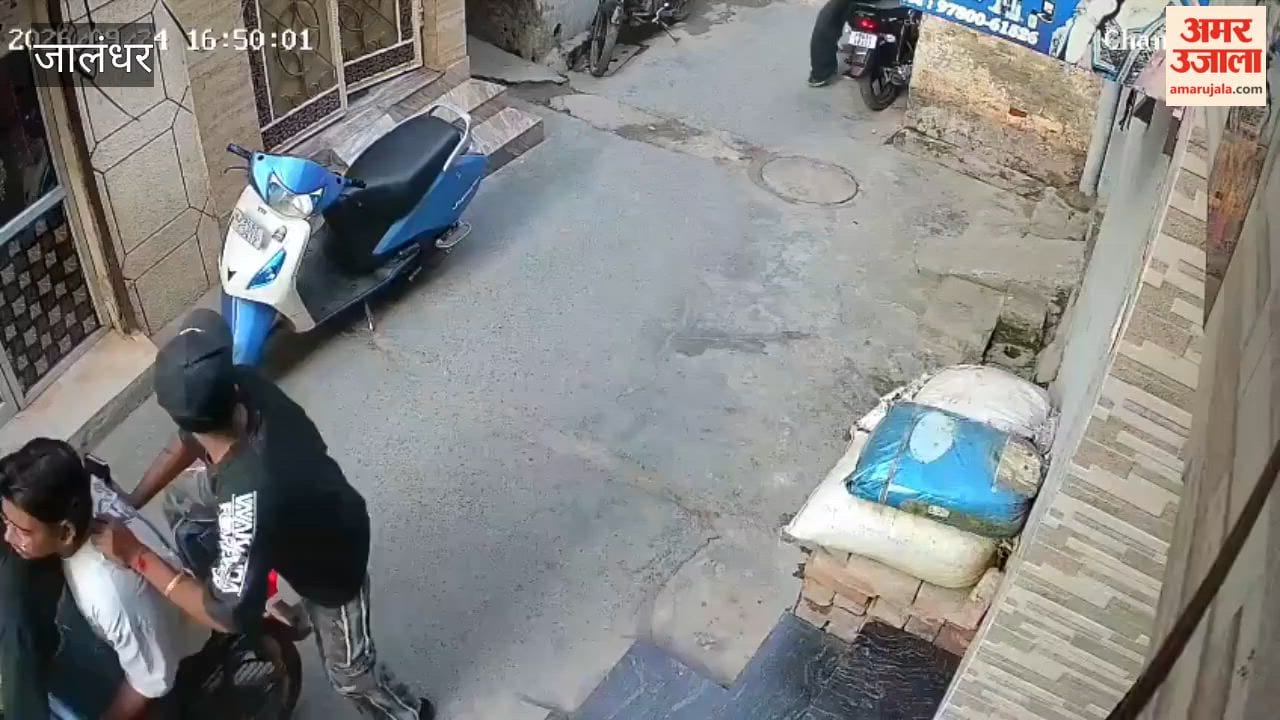 Dog saves young man from attackers in Jalandhar.