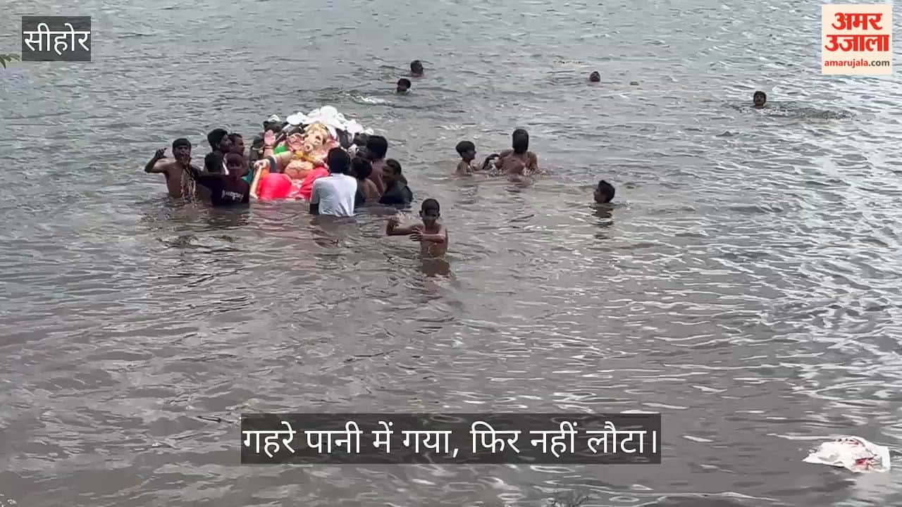 Sehore: 16-Year-Old Dies During Ganesh Idol Immersion, Questions Raised Over Safety Arrangements
