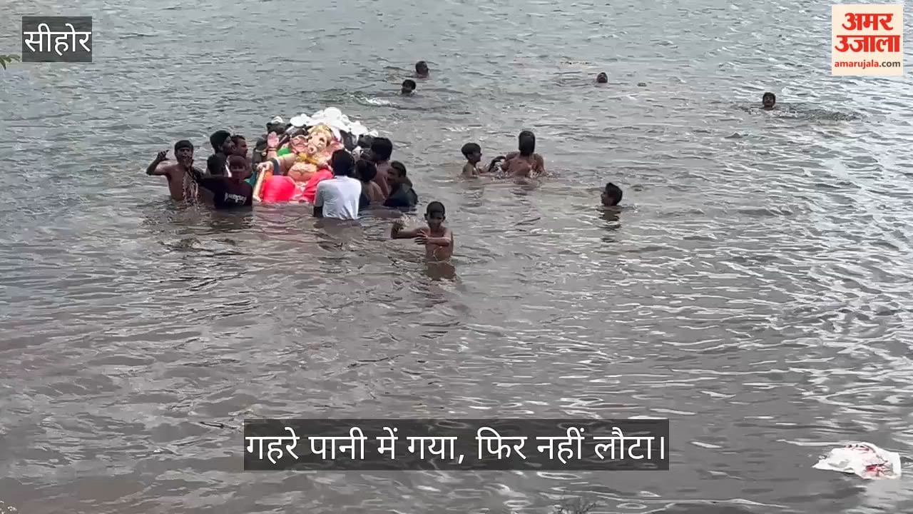 Sehore: 16-Year-Old Dies During Ganesh Idol Immersion, Questions Raised Over Safety Arrangements