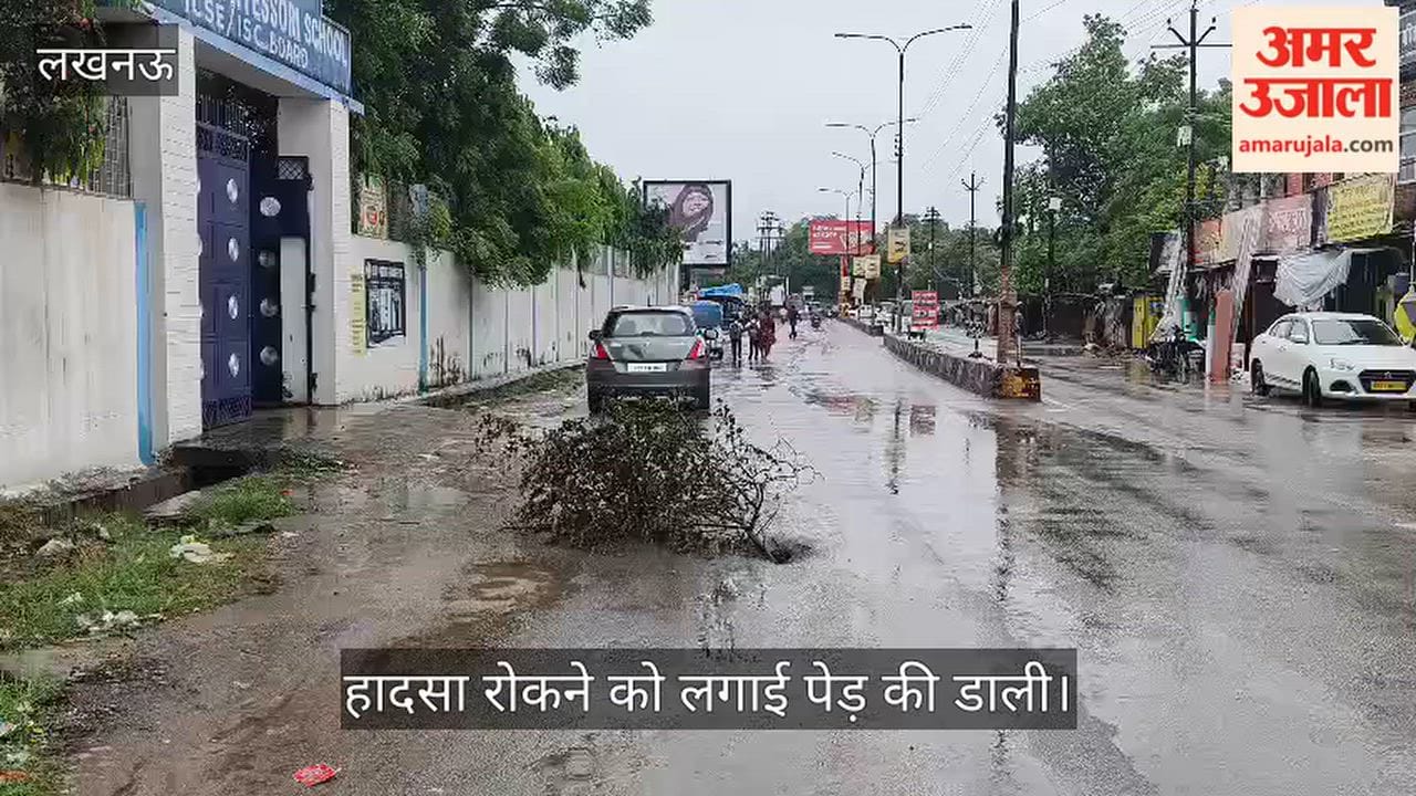 Video: 60 फीट रोड पर हुआ गड्ढा, हादसा रोकने को लगाई पेड़ की डाली