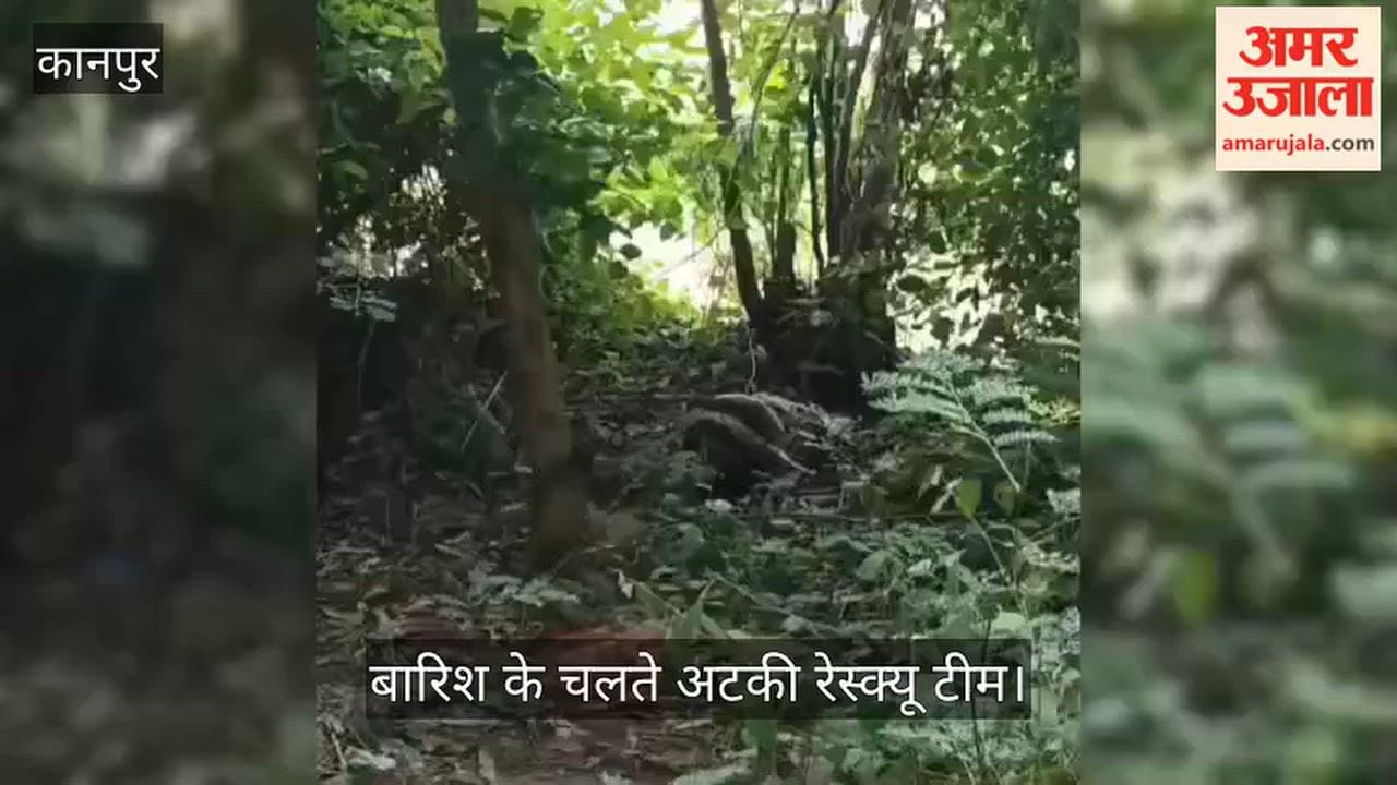 Kanpur Terror of a massive python in Bilhaur giant bird gripped in its clutches