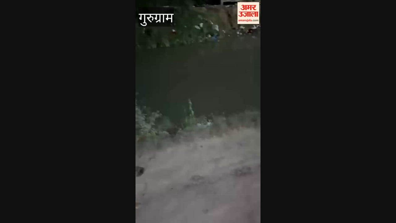 Garbage accumulated near canal in Gurugram contaminating canal water