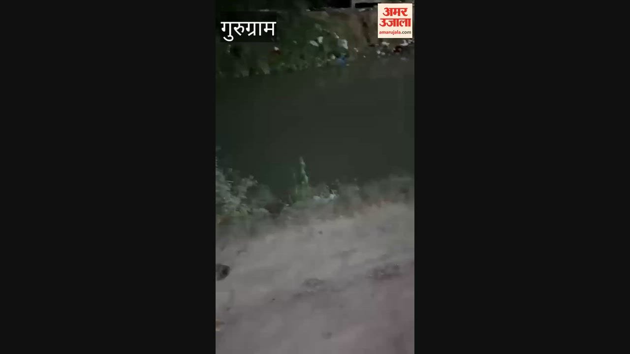 Garbage accumulated near canal in Gurugram contaminating canal water
