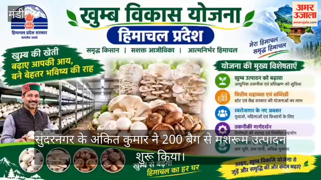 mushroom farming ankit kumar sundernagar 200 to 7000 bags business success