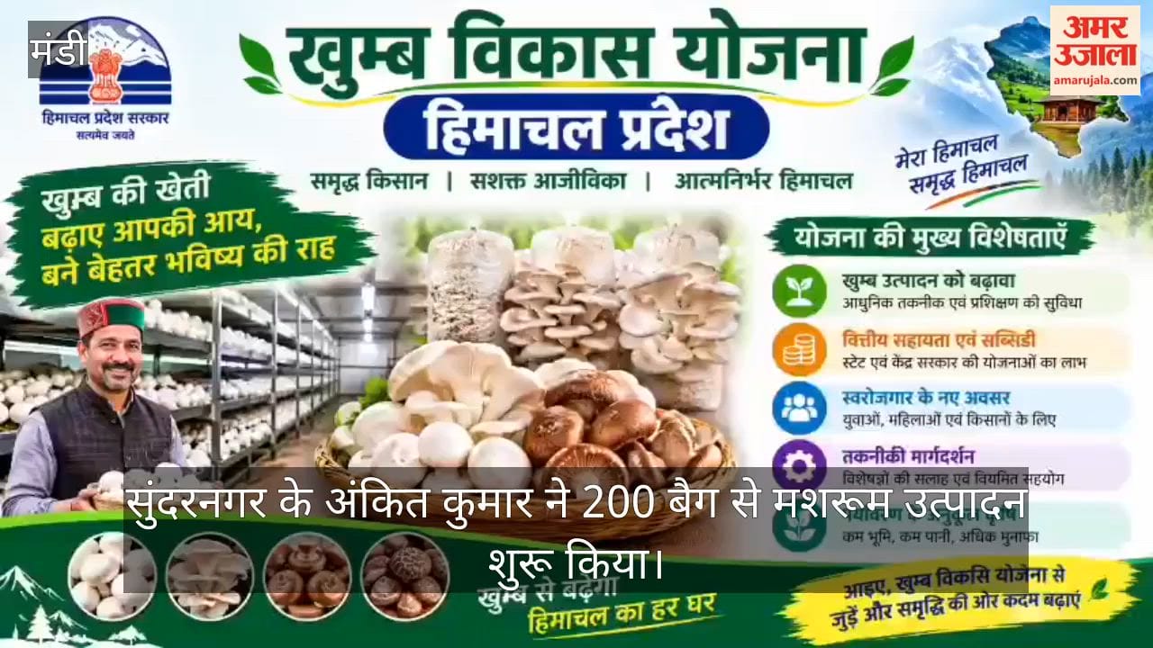 mushroom farming ankit kumar sundernagar 200 to 7000 bags business success