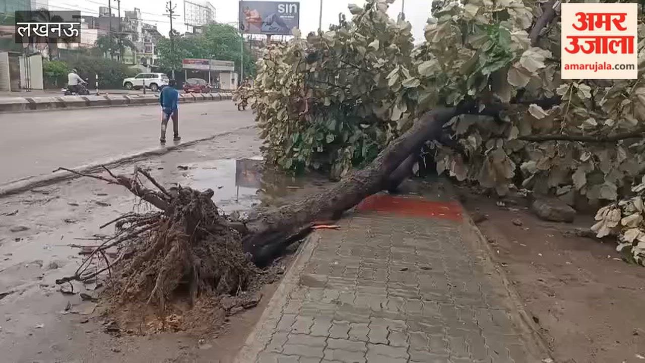 tree fell on road due to rain leading from Tedhi Puliya Crossing towards Gudamba thana in Lucknow
