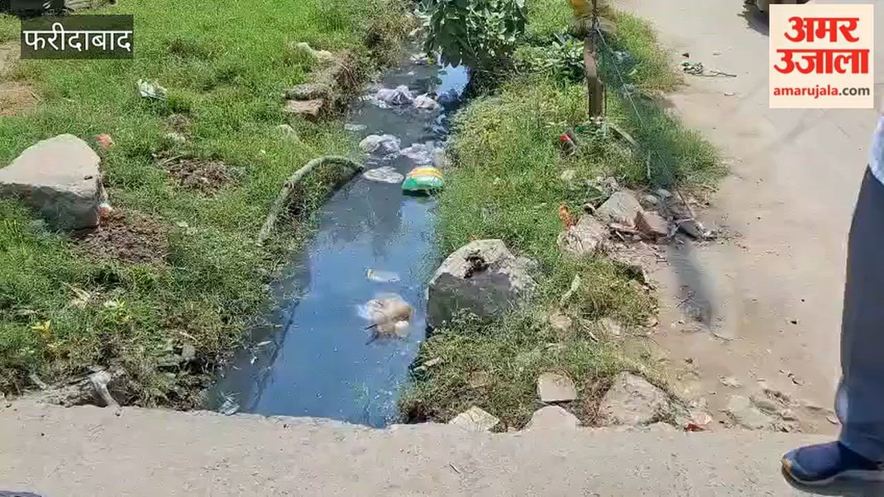 Open drains in Faridabad's Sector 2 are causing trouble for residents