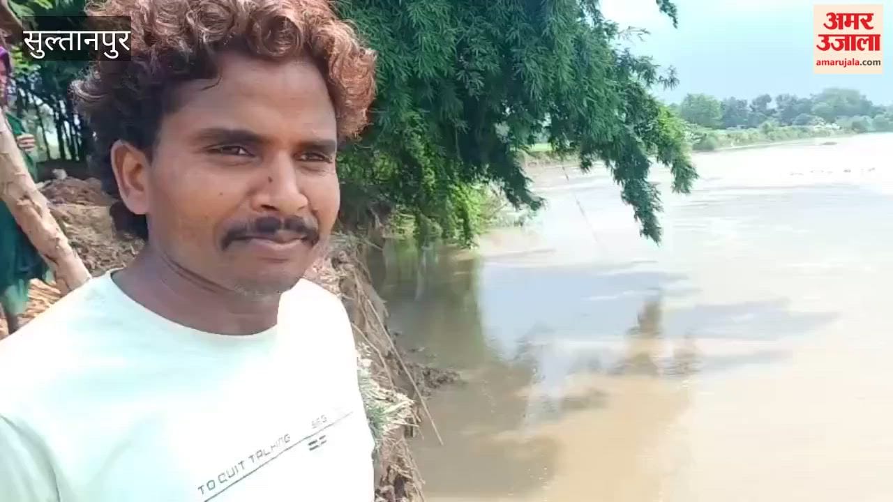 Gomti erosion reaches doorsteps in Sultanpur cattle left craving for fodder