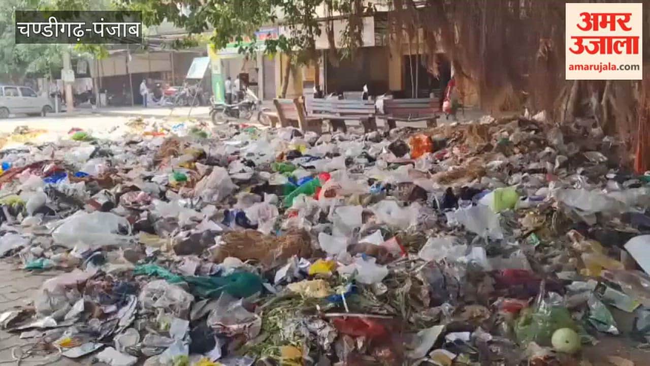 Piles of garbage scattered across Kotkapura; lack of a designated dumping site causes problems.