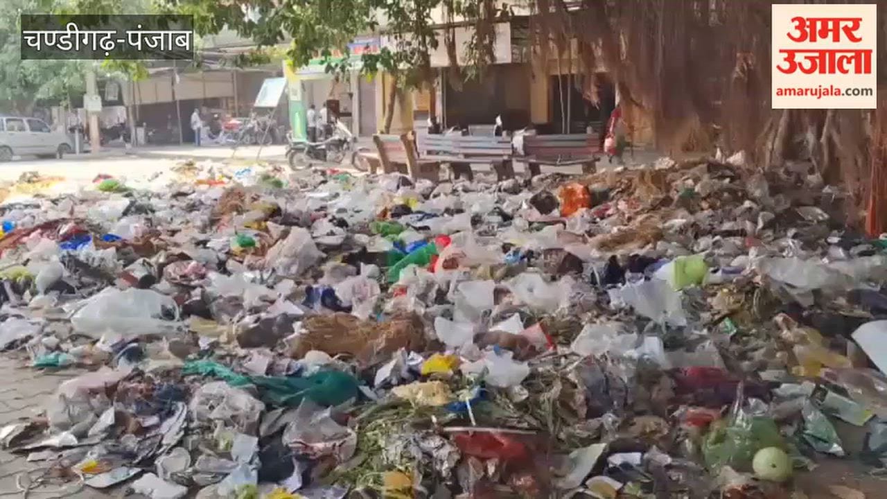 Piles of garbage scattered across Kotkapura; lack of a designated dumping site causes problems.