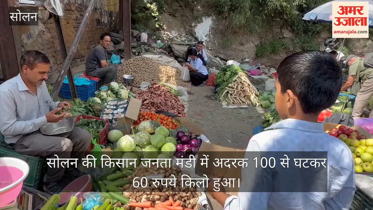 solan kisan janta mandi ginger price falls tomato 30 rupees per kg