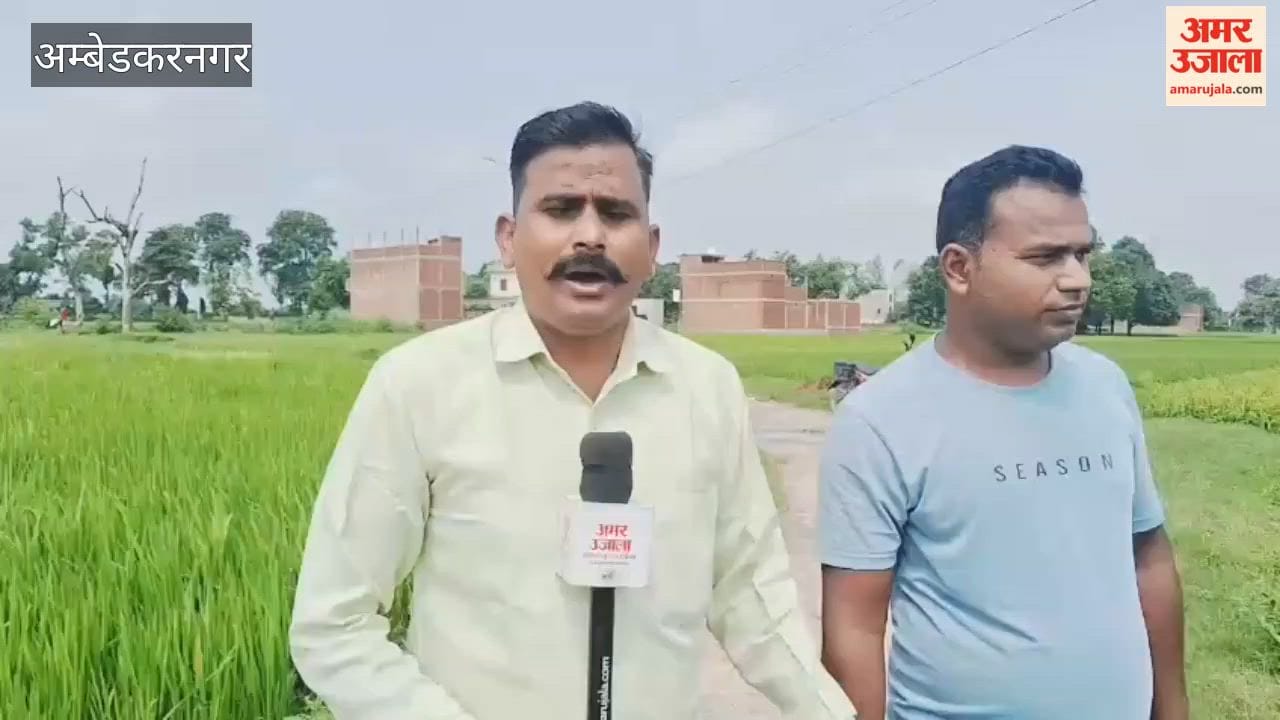 paddy sugarcane and banana crops suffer heavy damage due to continuous rainfall in Ambedkarnagar
