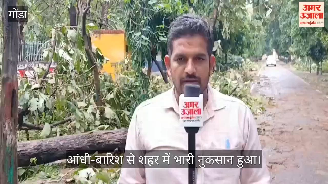 VIDEO: गोंडा में आंधी-बारिश से बिजली ठप, सीएनजी व बैंक काम-काज प्रभावित