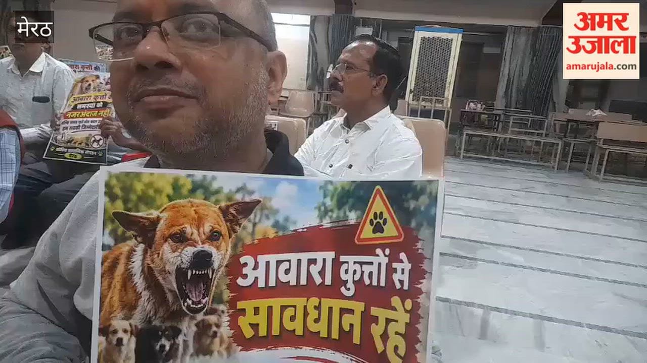 The Koshish social organization has expressed concern over the rising number of incidents involving stray dogs.
