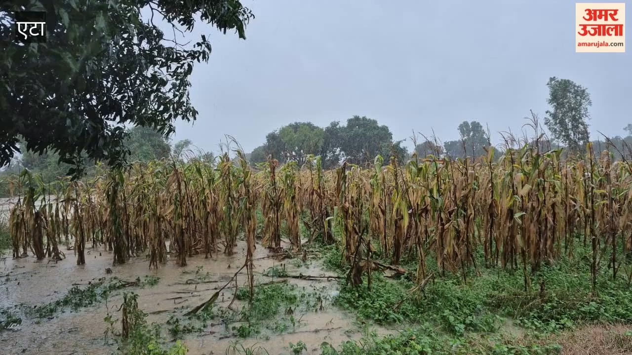 The rain washed away months of the farmers' hard work.