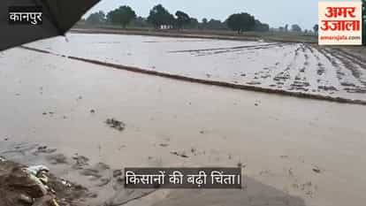 Kanpur Torrential rain wreaks havoc in Araul area 24 hour blackout crops submerged in fields