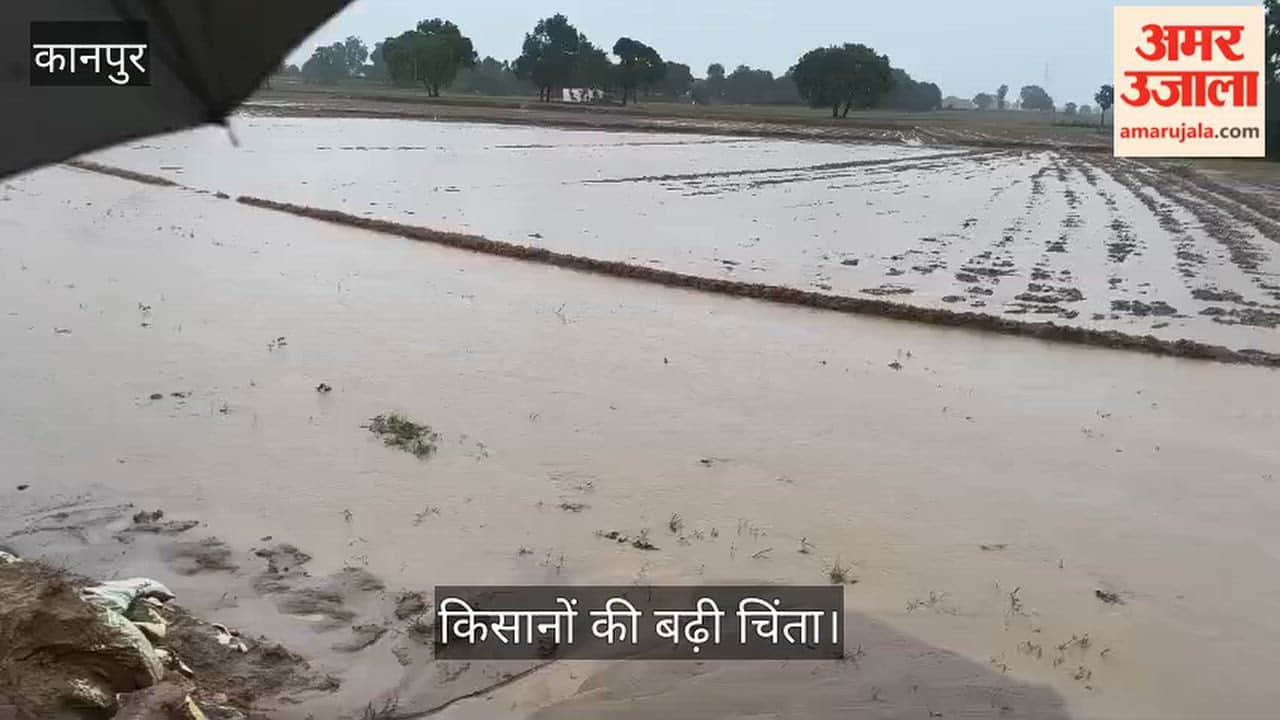 Kanpur Torrential rain wreaks havoc in Araul area 24 hour blackout crops submerged in fields