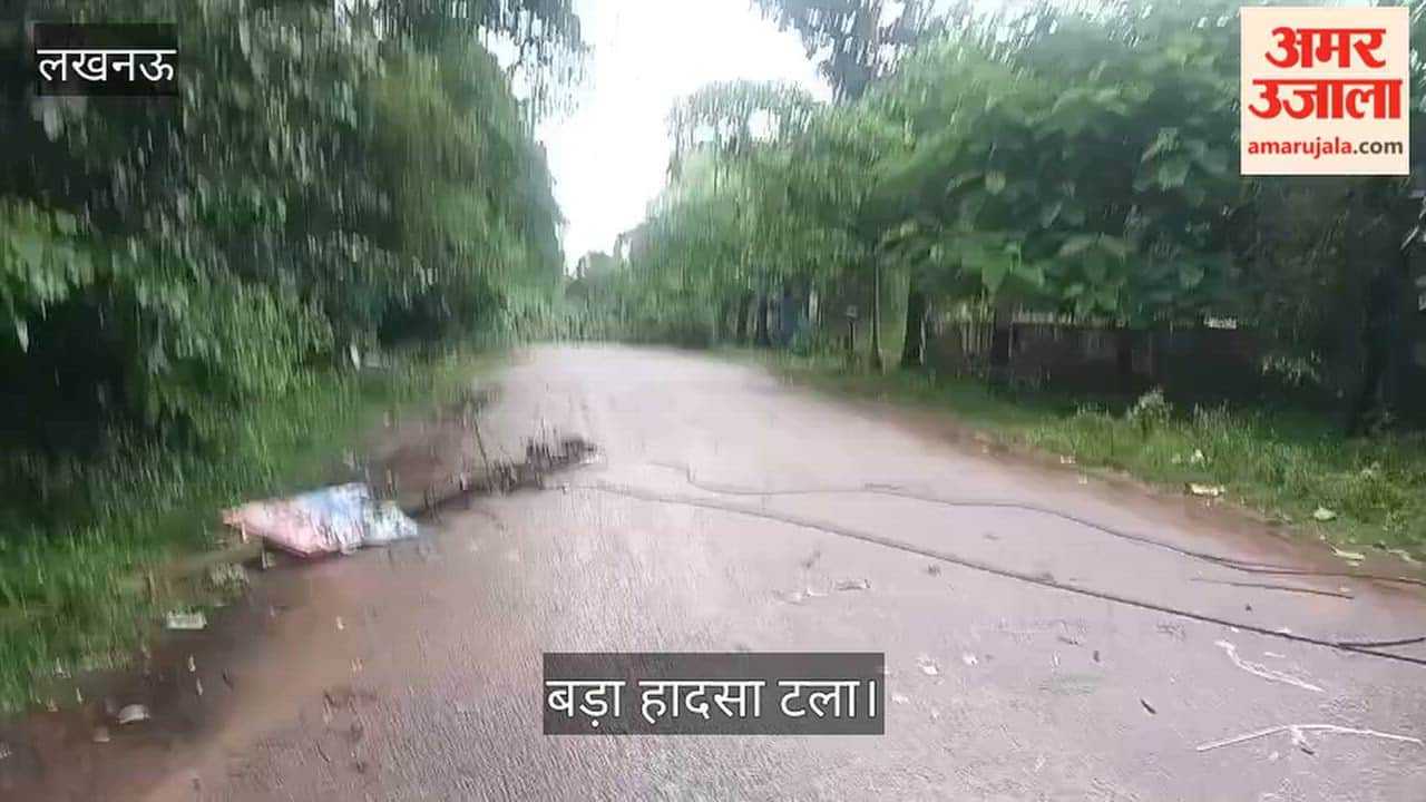 Video: वृंदावन सेक्टर-6बी में पेड़ गिरने से बिजली के दो खंभे टूटे, बड़ा हादसा टला