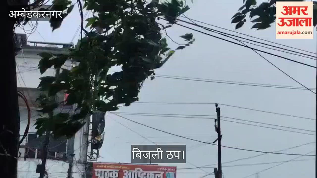 Video: अंबेडकरनगर में रातभर बारिश से दर्जनों पेड़ व खंभे धराशायी, बिजली ठप