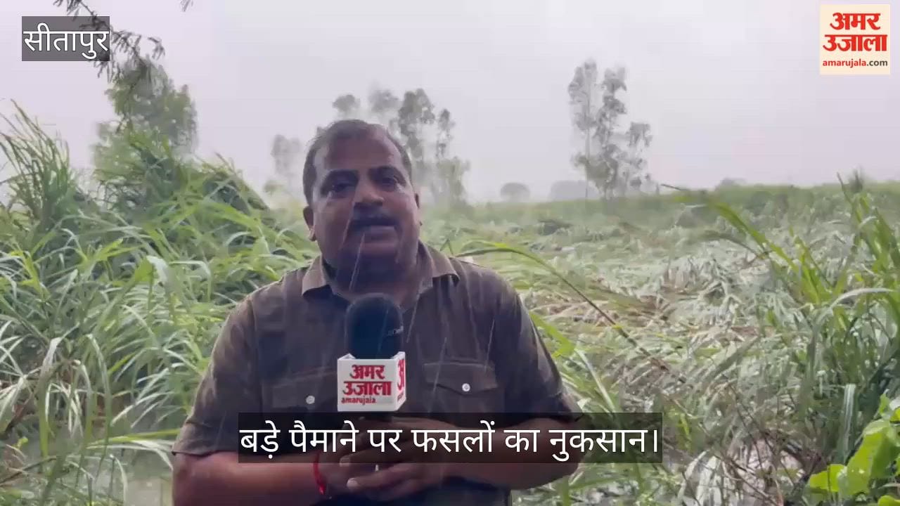 Video: सीतापुर में बारिश से जनजीवन अस्त व्यस्त, प्रमुख मार्गों पर गिरे पेड़, बड़े पैमाने पर फसलों का नुकसान