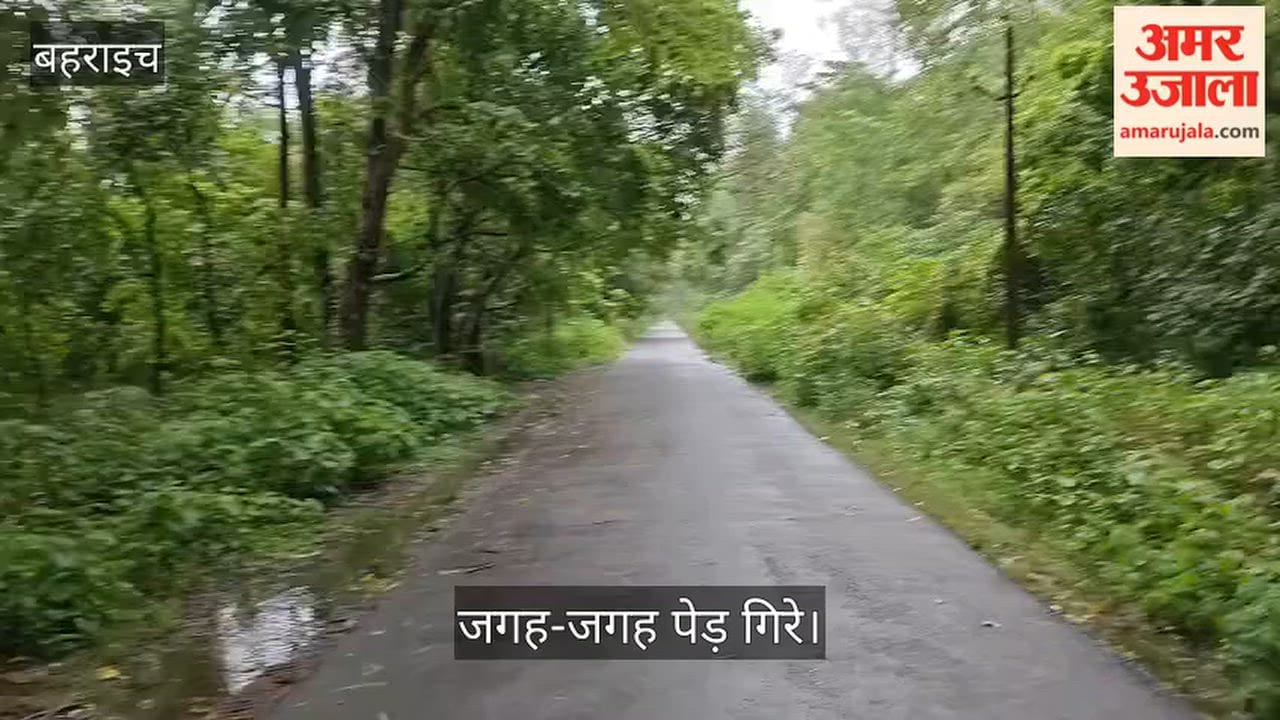 Video: बहराइच में भारी बारिश और तेज हवाओं से जनजीवन अस्तव्यस्त, जगह-जगह पेड़ गिरे