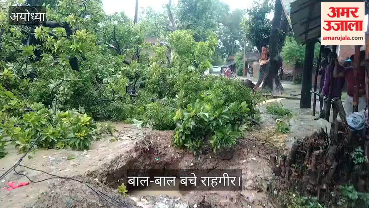 Video: भारी बारिश में मुख्य मार्ग पर गिरी महुआ की डाल, बाल-बाल बचे राहगीर