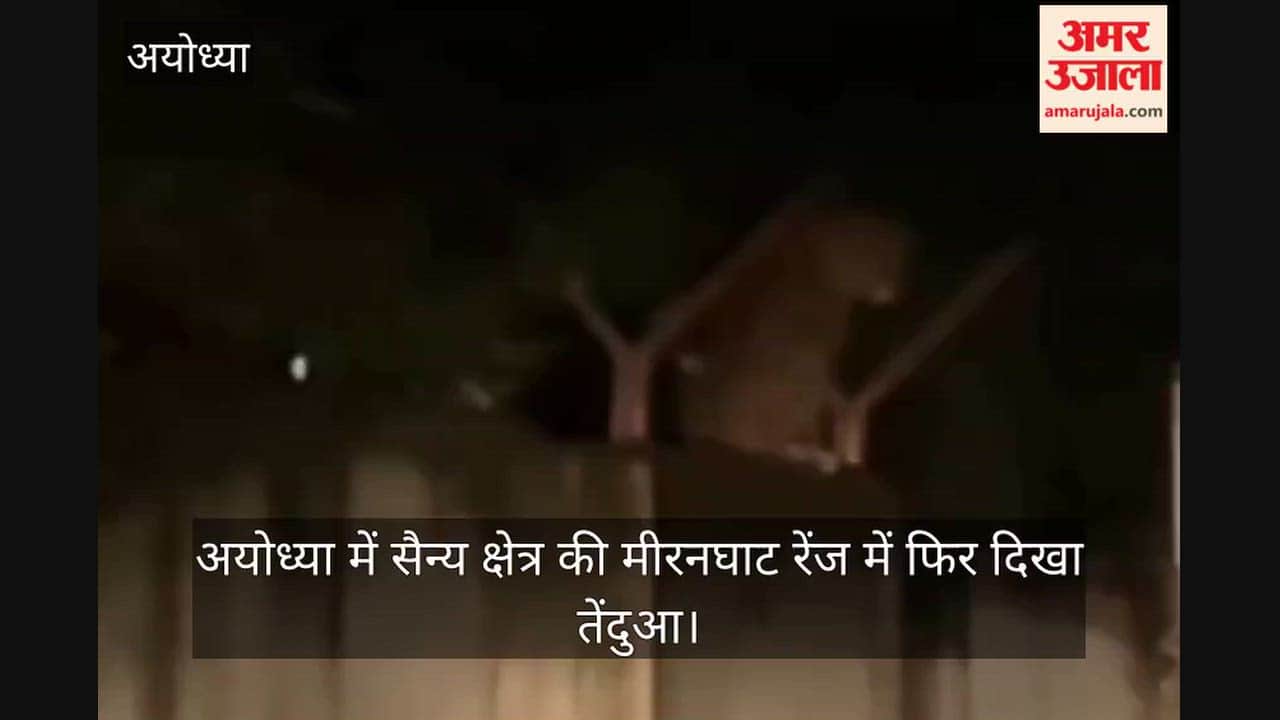 Video: अयोध्या में सैन्य क्षेत्र की मीरनघाट रेंज में फिर दिखा तेंदुआ