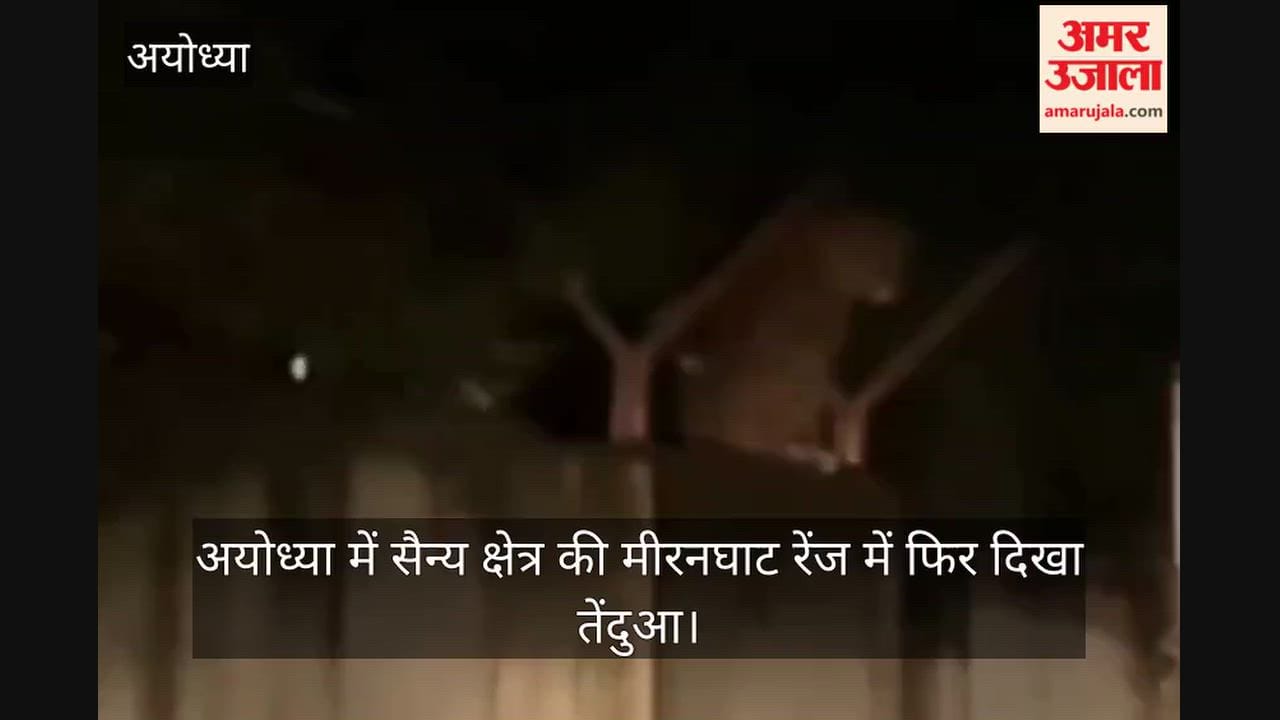 Video: अयोध्या में सैन्य क्षेत्र की मीरनघाट रेंज में फिर दिखा तेंदुआ