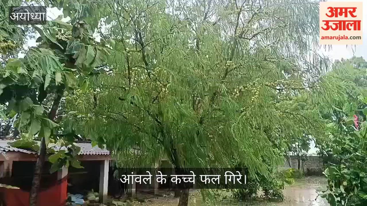 Video: अयोध्या में तेज आंधी-बारिश से धान-गन्ना जमींदोज, आंवले के कच्चे फल गिरे