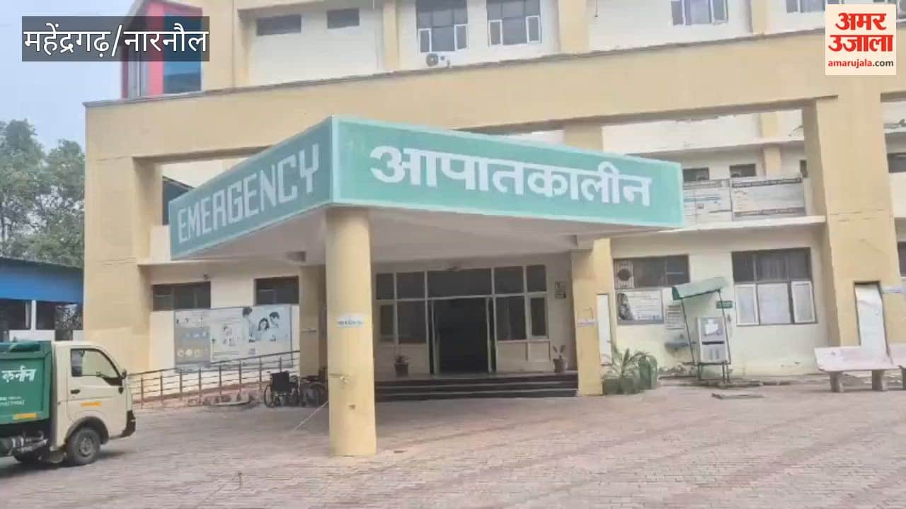 Vegetable-laden canter collides with a trailer in Mahendragarh; 29-year-old man dies, uncle critically injured in the accident.